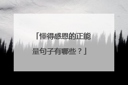 懂得感恩的正能量句子有哪些?