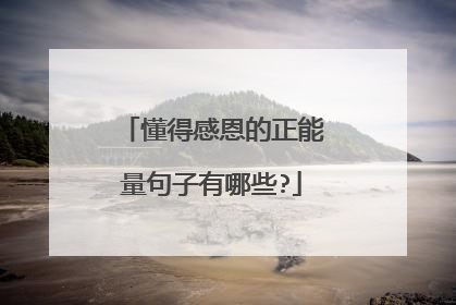 懂得感恩的正能量句子有哪些?