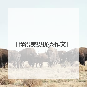 懂得感恩优秀作文