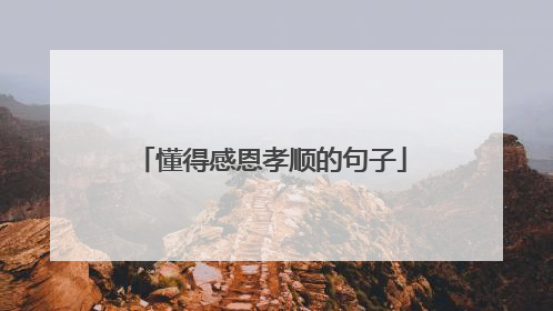 懂得感恩孝顺的句子