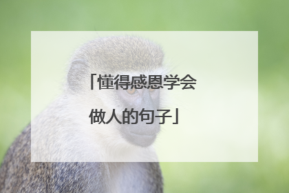 懂得感恩学会做人的句子