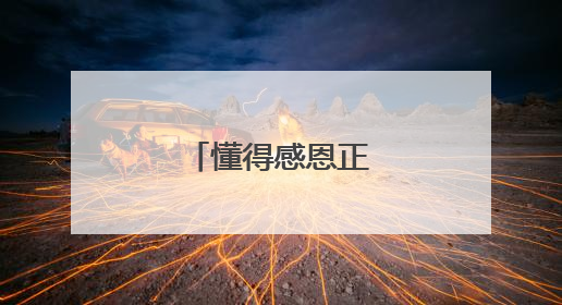 懂得感恩正能量句子