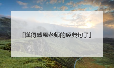 懂得感恩老师的经典句子