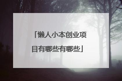 懒人小本创业项目有哪些有哪些
