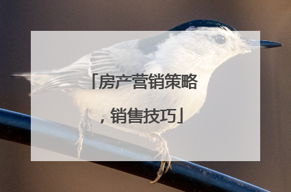 房产营销策略,销售技巧