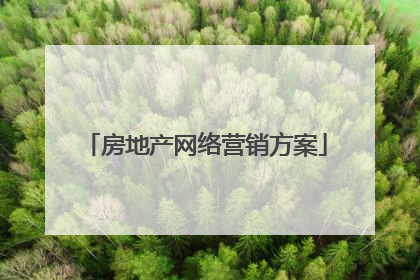 房地产网络营销方案