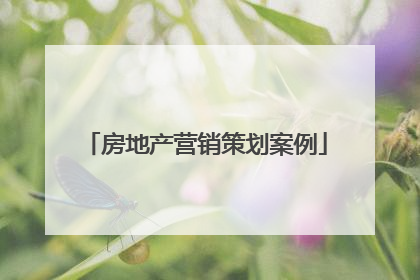 房地产营销策划案例