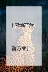 房地产营销方案