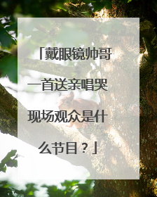 戴眼镜帅哥一首送亲唱哭现场观众是什么节目？
