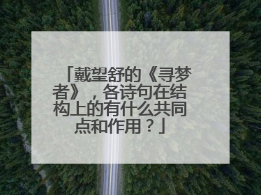 戴望舒的《寻梦者》,各诗句在结构上的有什么共同点和作用?