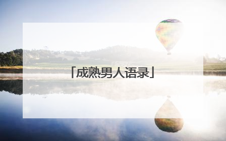 成熟男人语录