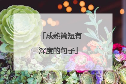 成熟简短有深度的句子