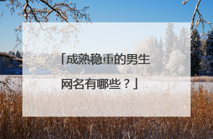 成熟稳重的男生网名有哪些？