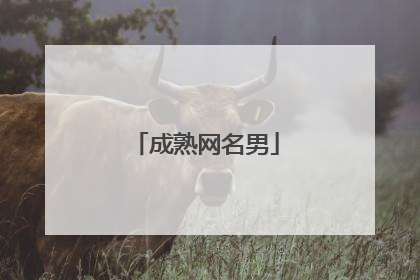 成熟网名男