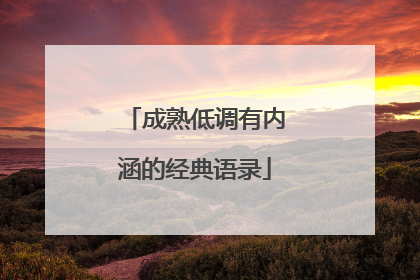 成熟低调有内涵的经典语录