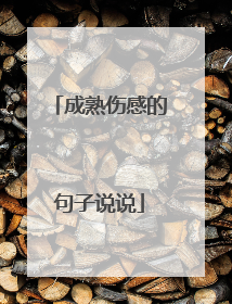 成熟伤感的句子说说