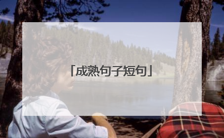 成熟句子短句
