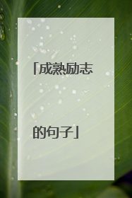 成熟励志的句子