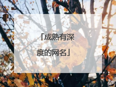 成熟有深度的网名