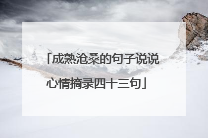 成熟沧桑的句子说说心情摘录四十三句
