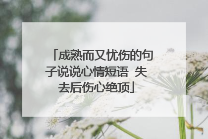 成熟而又忧伤的句子说说心情短语 失去后伤心绝顶