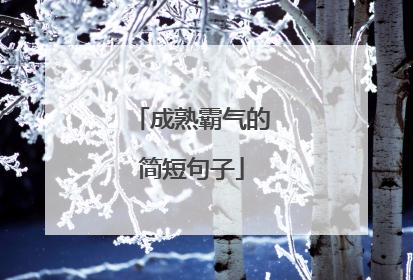 成熟霸气的简短句子