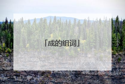 成的组词