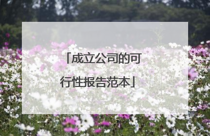 成立公司的可行性报告范本