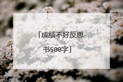 成绩不好反思书500字
