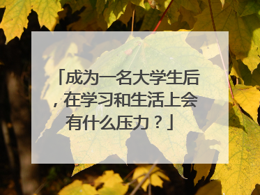 成为一名大学生后，在学习和生活上会有什么压力？