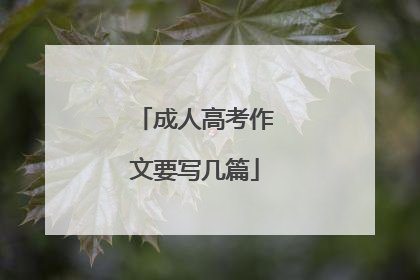 成人高考作文要写几篇