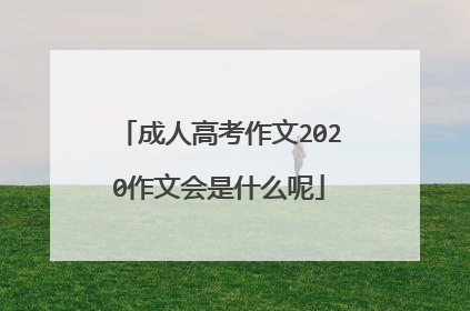 成人高考作文2020作文会是什么呢