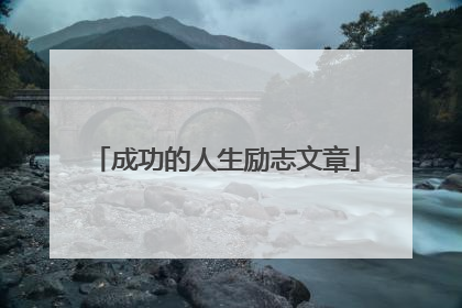 成功的人生励志文章