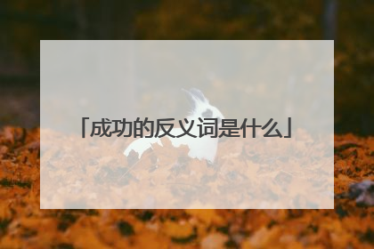 成功的反义词是什么