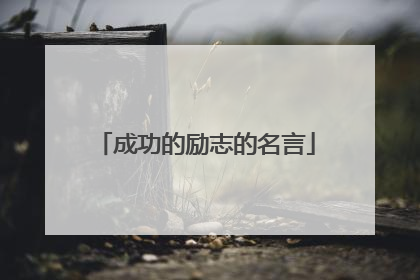 成功的励志的名言