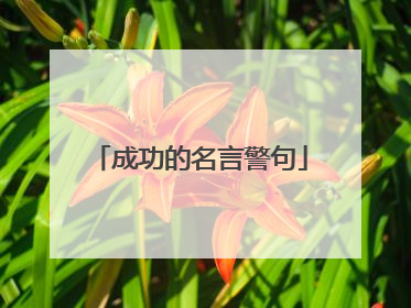 成功的名言警句