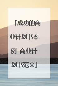 成功的商业计划书案例_商业计划书范文