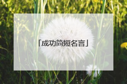 成功简短名言