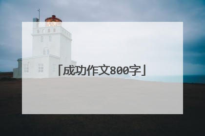 成功作文800字