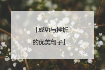 成功与挫折的优美句子