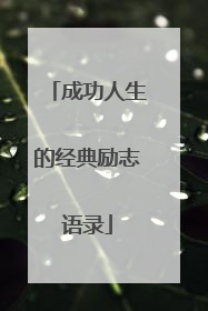 成功人生的经典励志语录