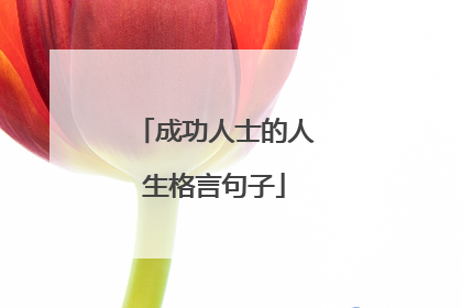 成功人士的人生格言句子
