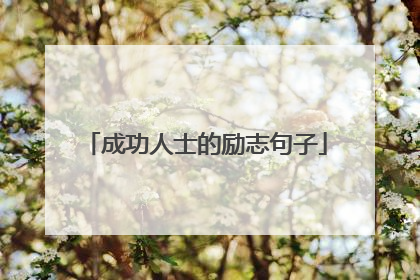 成功人士的励志句子