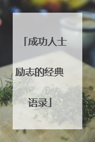 成功人士励志的经典语录