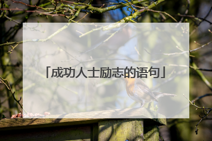 成功人士励志的语句