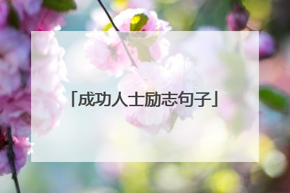 成功人士励志句子