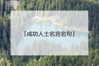 成功人士名言名句