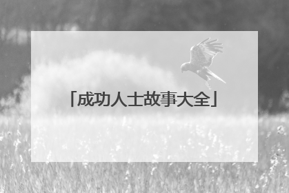 成功人士故事大全