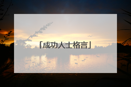 成功人士格言