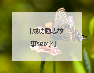 成功励志故事500字